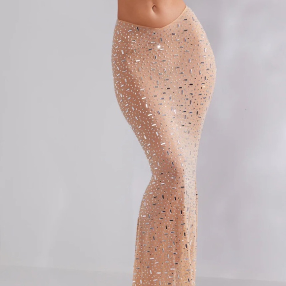 Chiara Sheer Embellished V-Waist Gown Skirt in Almond - Picture 5 of 14
